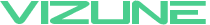 Vizune logo